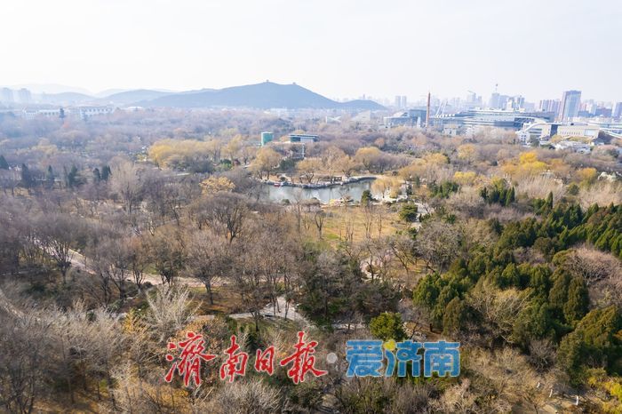 轨交直达冬日秘境，泉城公园成打卡“新宠”