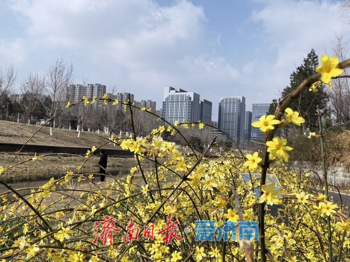 雾散天开春意浓 市民踏青享春光