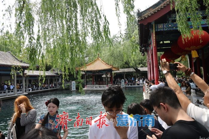 假期尾声 趵突泉清晨景致引游人打卡