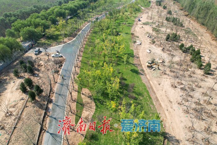 大河之畔植新绿 济南黄河生态廊道造林忙