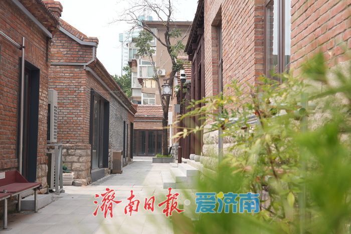 一年四季 泉在济南丨济南上新街老院落修缮焕新 院落连通添绿意