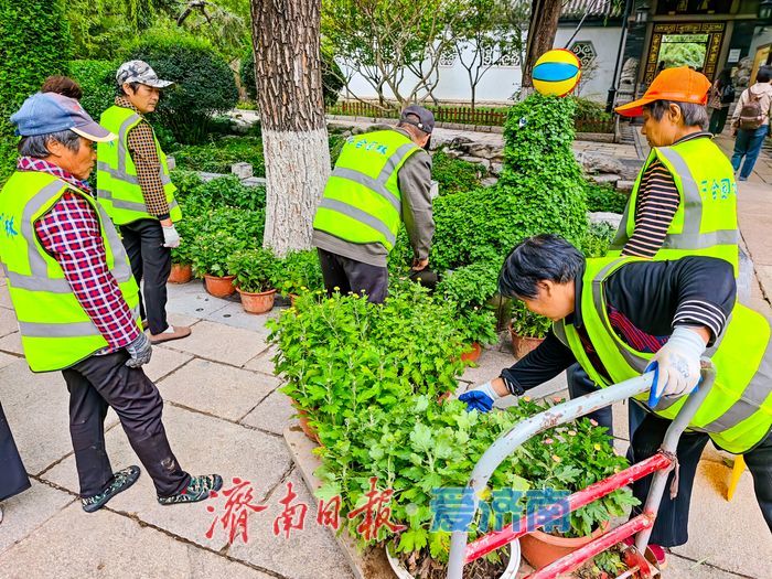 趵突泉菊花展筹备正酣，金秋文化盛宴即将开启