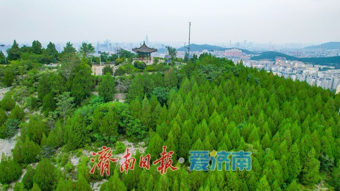 郎茂山公园：城市中的自然氧吧，市民休闲新选择