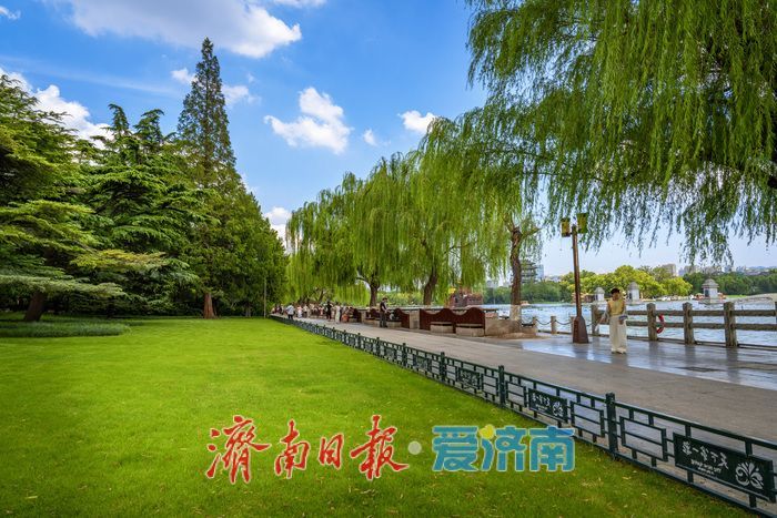 一年四季 泉在济南丨泉城消夏图鉴：大明湖成市民游客纳凉赏景“心头好”