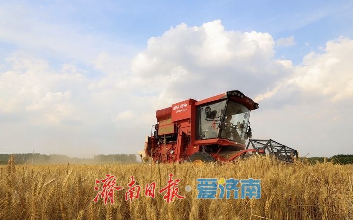 趵眼丨是谁撑起了“齐鲁粮油”的C位？答案是……