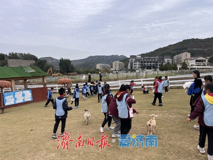 卢南村农场变身“萌宠乐园”！亲子解锁沉浸式互动新体验