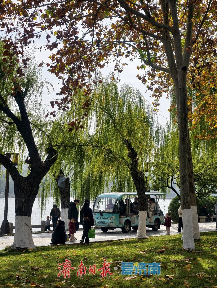 一年四季 泉在济南丨赴一场冬日湖畔之约，且看诗意的泉城济南