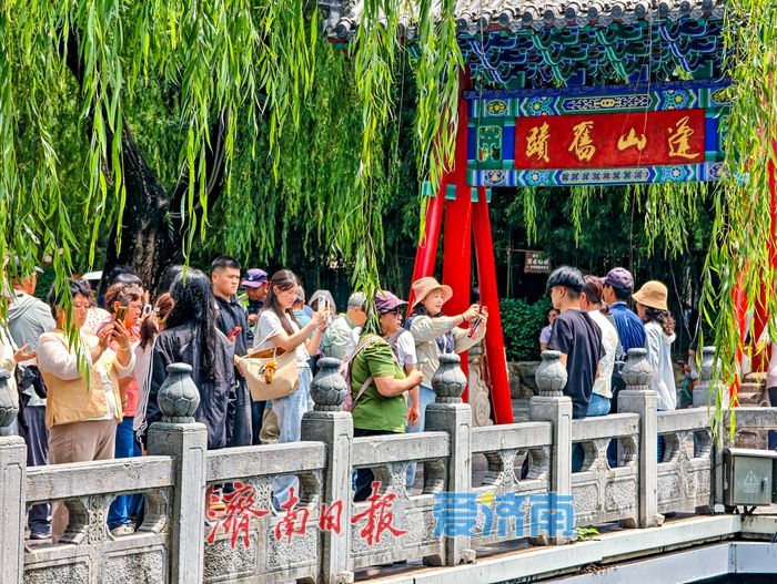 一年四季 泉在济南丨高位稳驻泉韵盎然 趵突泉29.21米水位持续在线引客打卡