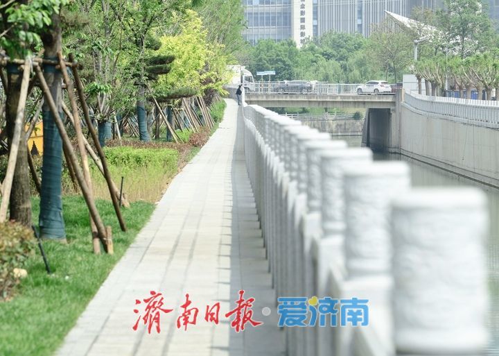 打造四季有景滨河绿廊，东泺河综合整治工程6月底完工