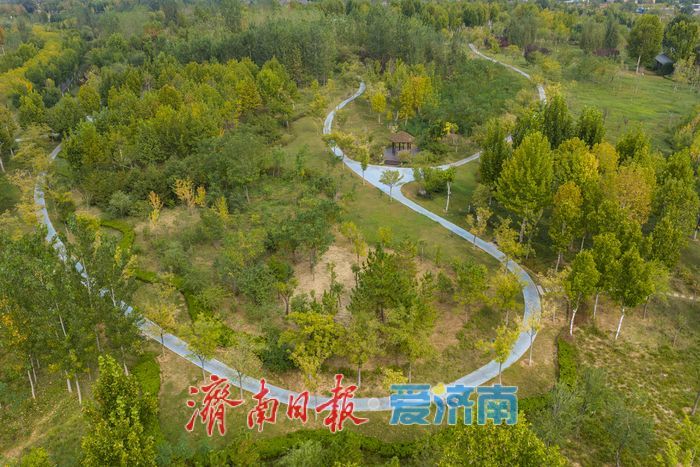 仲秋泉城绿意浓，济南中央森林公园铺展城市生态画卷