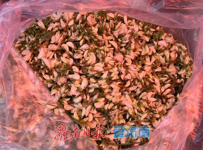 春风送鲜，南部山区春菜、菜苗备受青睐