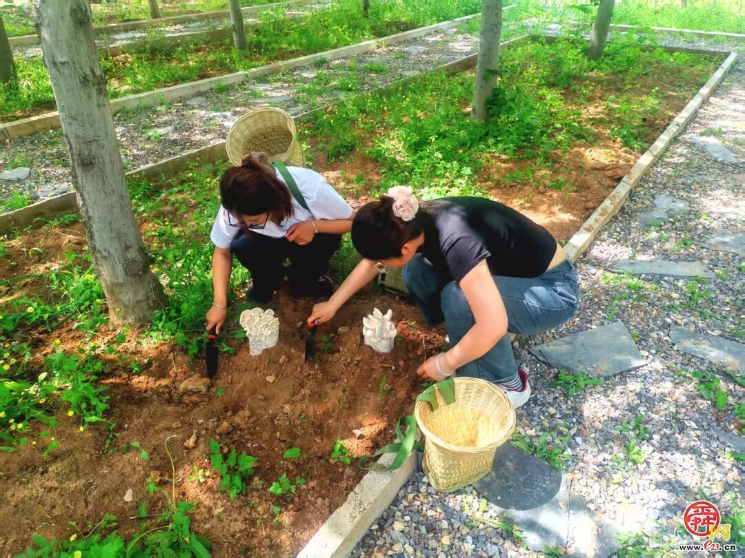 田园童趣解锁假日新欢喜 齐鲁童乡试营业燃爆泉城五一假期