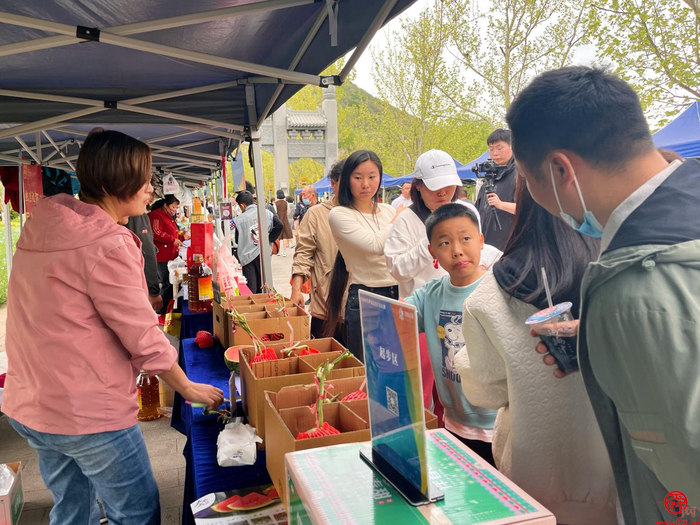 限定甜瓜季！“泉水人家”携手章丘农产“合伙人”送新鲜上门