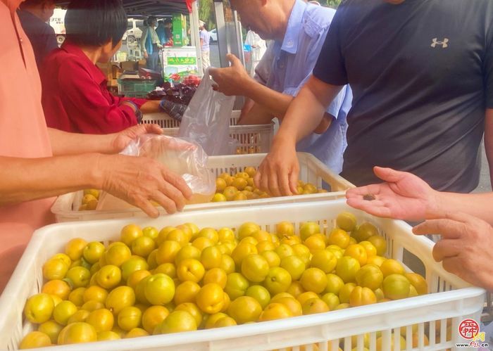“杏”运随行 泉水人家社区里再开集