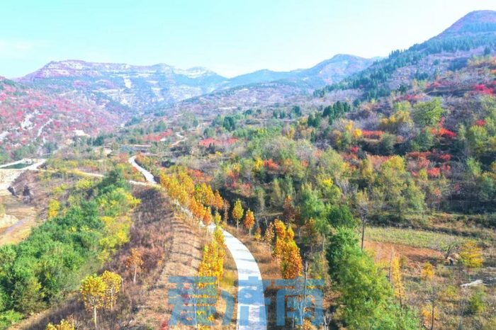 春日济南一路繁花，济南区县“五一”多彩文旅活动等你来打卡