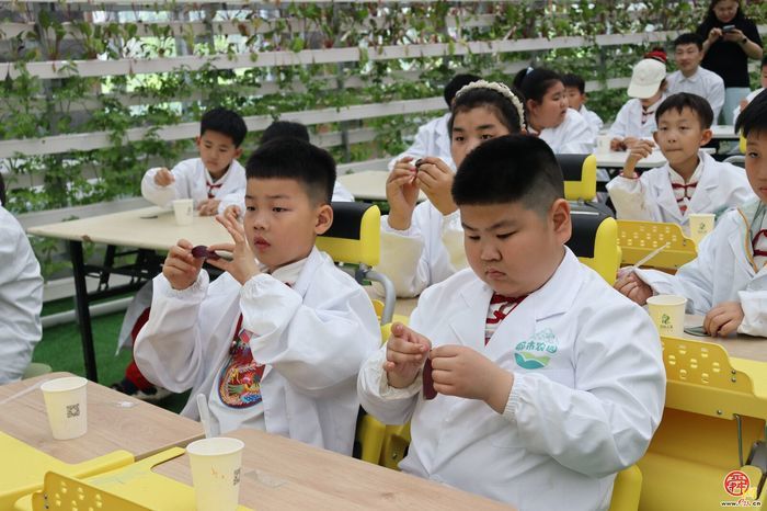 脚下踩泥土 心中藏成长——济南市天桥区枫景小学开启“‘玉’见小美好 节约大行动”主题实践课程