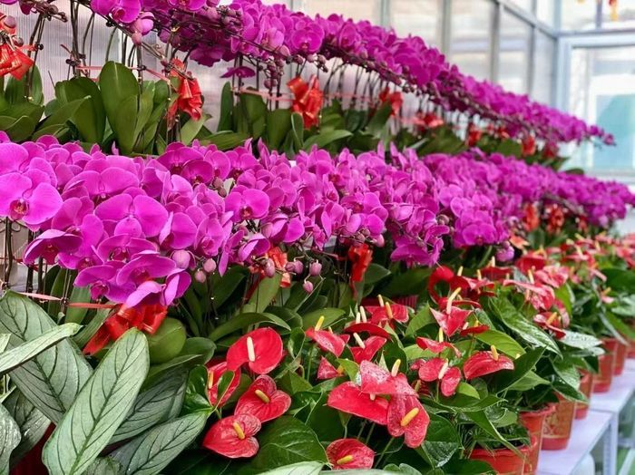 “泉”在济南过大年｜新春探寻公园里不一样的烟火图景，济南“公园年味”地图来了