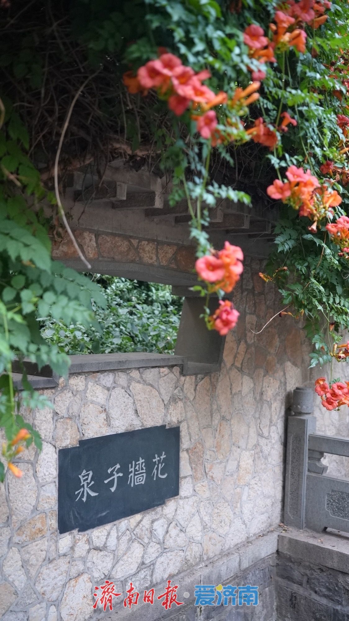 一年四季 泉在济南 