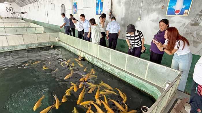 泉韵乡居展新颜 乡村振兴谱新篇 济南市“一月一主题”集中采访走进章丘区、莱芜区