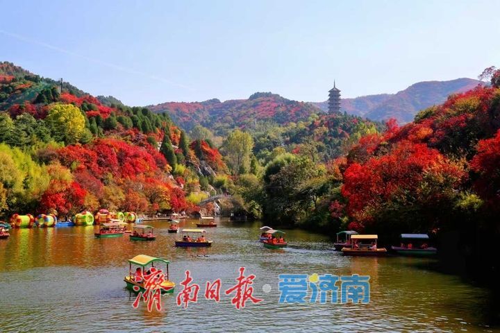 层林尽染！济南红叶谷进入最佳观赏期