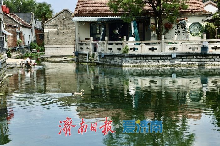 一年四季 泉在济南丨天光云影入泉来 王府池子展神韵