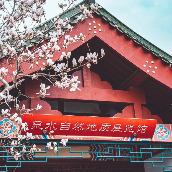 “泉水博物馆”：济南的千年心跳
