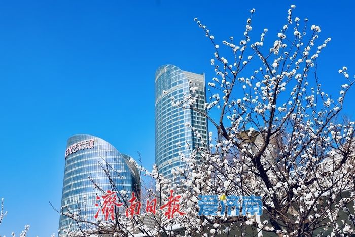 春日限定！腊山河公园柳芽萌动杏花盛放