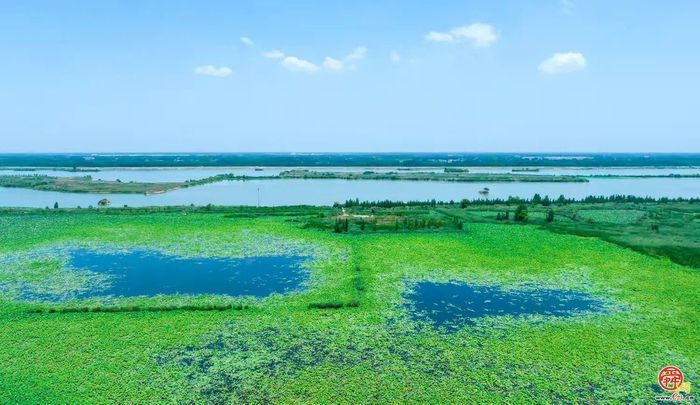 今天，品读章丘这十年！