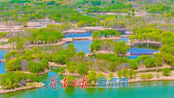 一年四季 泉在济南丨泉城晴空万里 济西湿地焕生机