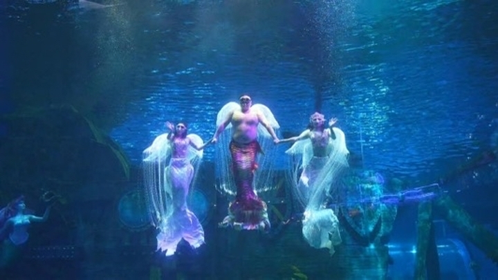 海陆仙年·双园共沸 济南融创文旅城新春盛典火热上演，全景沉浸式年味体验燃爆泉城春节档