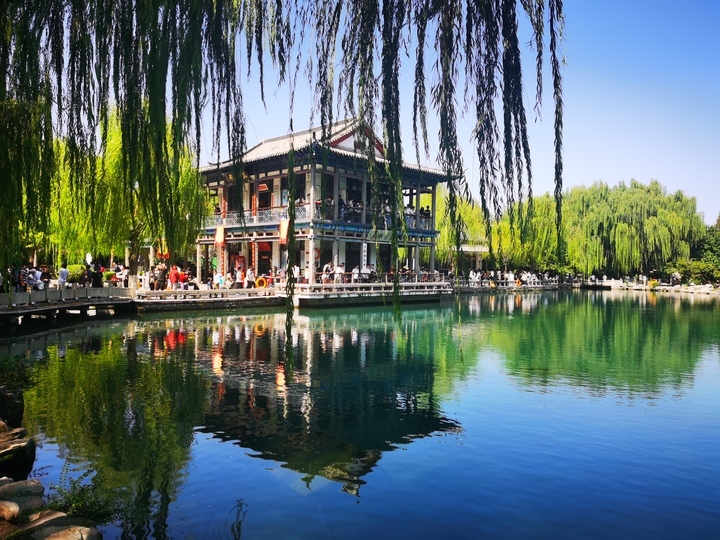 “泉”在济南享金秋｜赏泉亲泉 乐享泉城