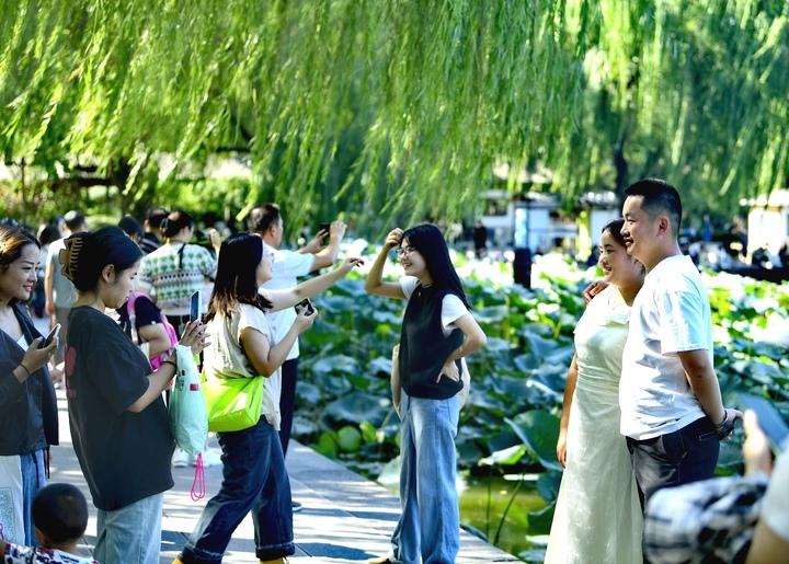 “泉”在济南享金秋｜中秋假期，济南开启“人从众”模式