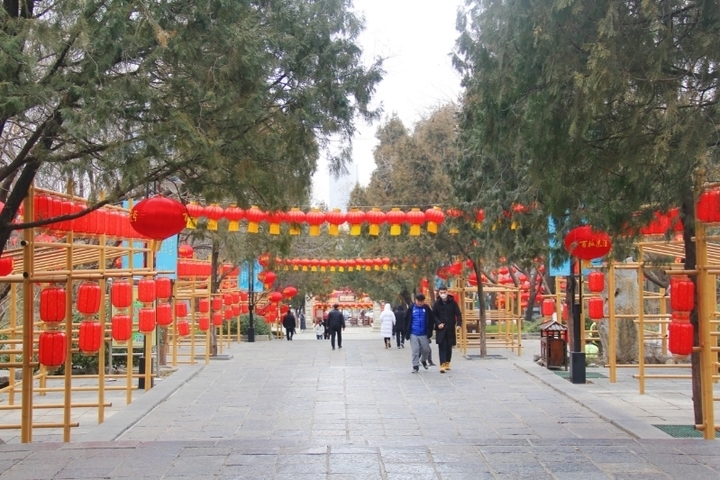 “泉”在济南过大年｜龙行大运·梦回宋“潮” 千佛山新春游园会正月初一启幕