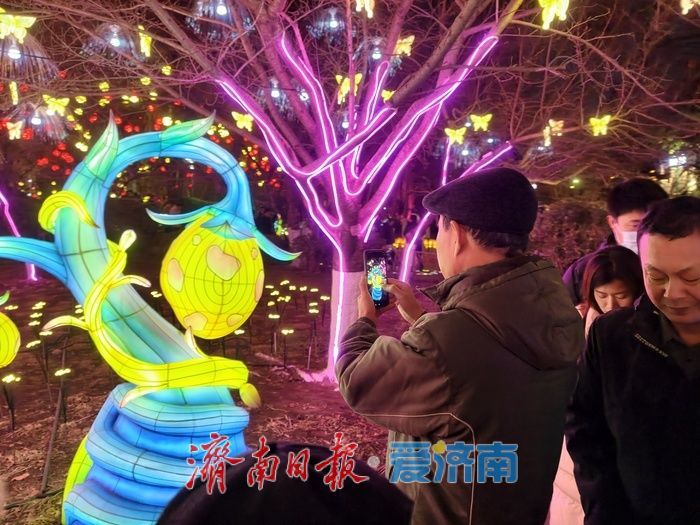 一年四季 泉在济南丨火树银花不夜天，五龙潭迎春花灯盛宴催热泉城“夜经济”