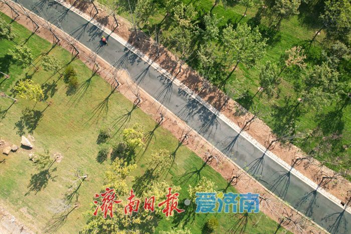 大河之畔植新绿 济南黄河生态廊道造林忙