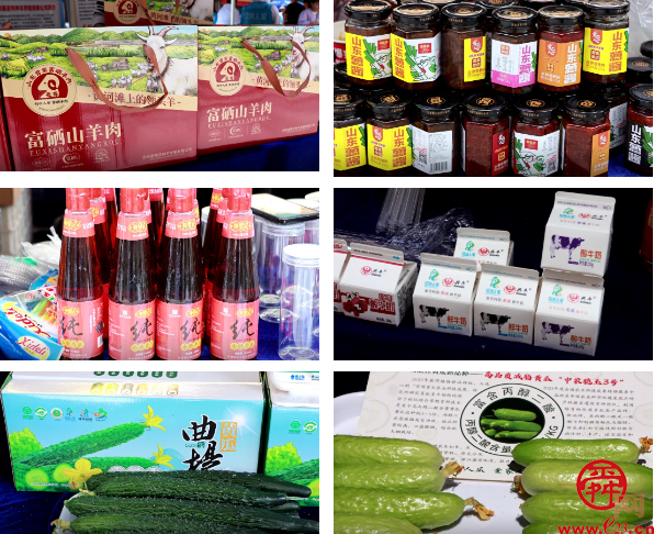 尝第一口鲜甜!济南仁风、太平宝西瓜领衔泉水人家“西瓜宴”