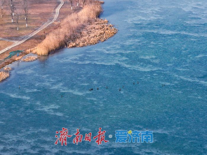 冰凝绘盛景 华山湖冬日冰封如入水墨长卷