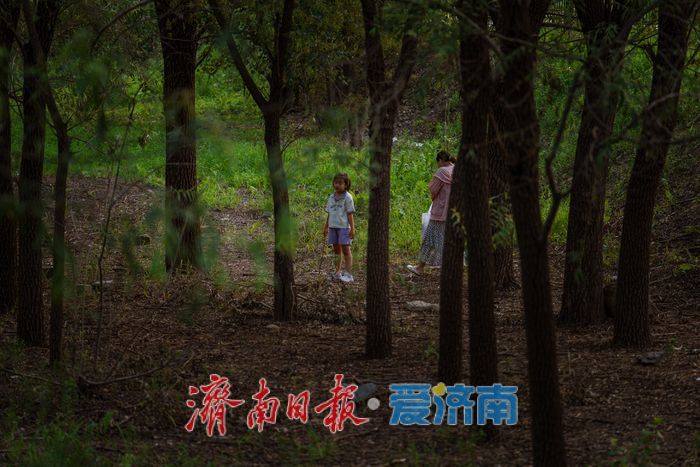 一年四季 泉在济南丨黄河岸边夏夜忙 济南市民扎堆寻“金蝉”