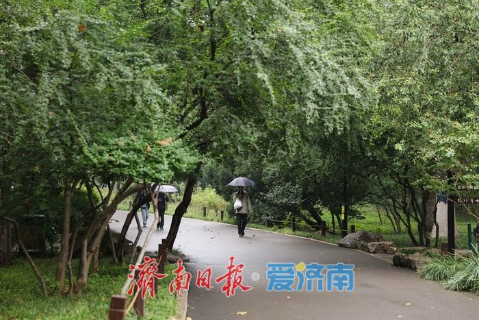 细雨如丝，百花公园秋意朦胧