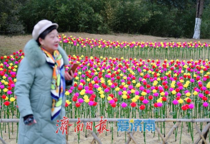 济南天下第一泉迎春花灯会进入安装阶段，园区渐展“奇幻”容颜