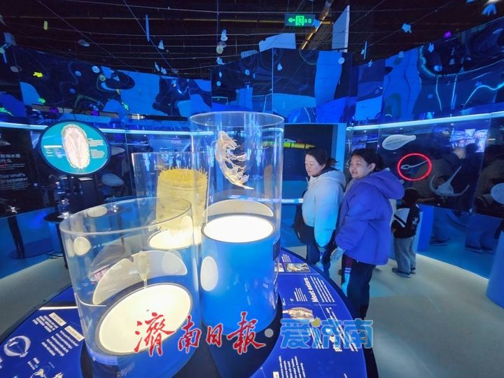 在山东省科技馆沉浸式探索海洋奥秘