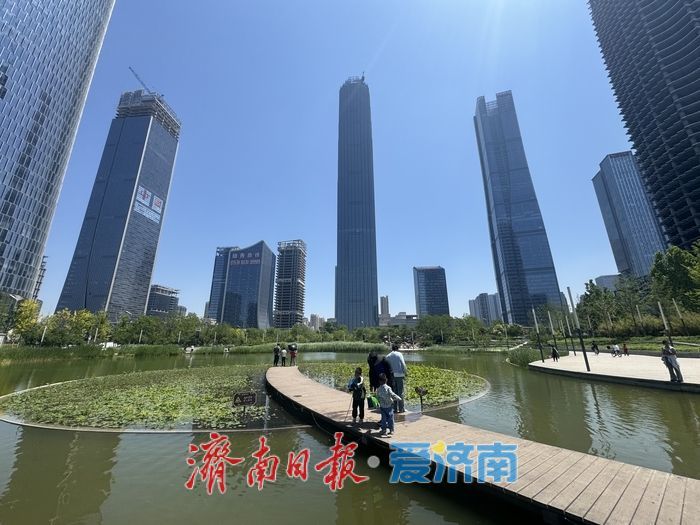 一年四季 泉在济南丨新荷为笔，蓝天为幕，济南绘就初夏画卷