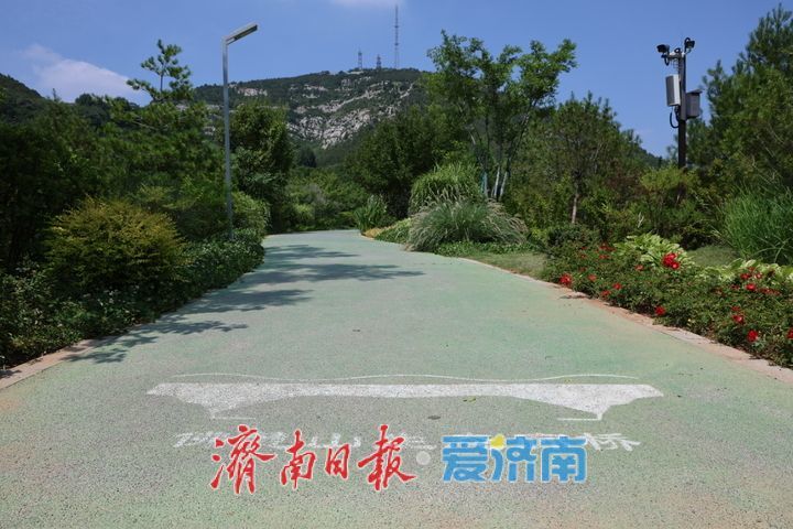 满目青翠入画来！佛慧山生态廊桥铺就泉城生态绿廊