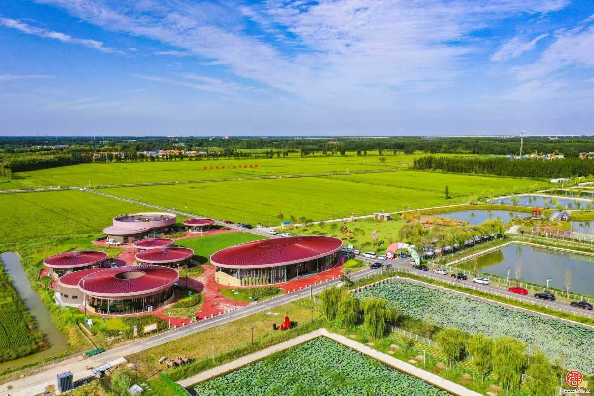 大河潮起，济阳的“赶考”之路——济阳区“十五五开新局·2026建新功”工作动员大会召开