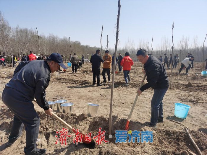 济南市开展校友林植树活动