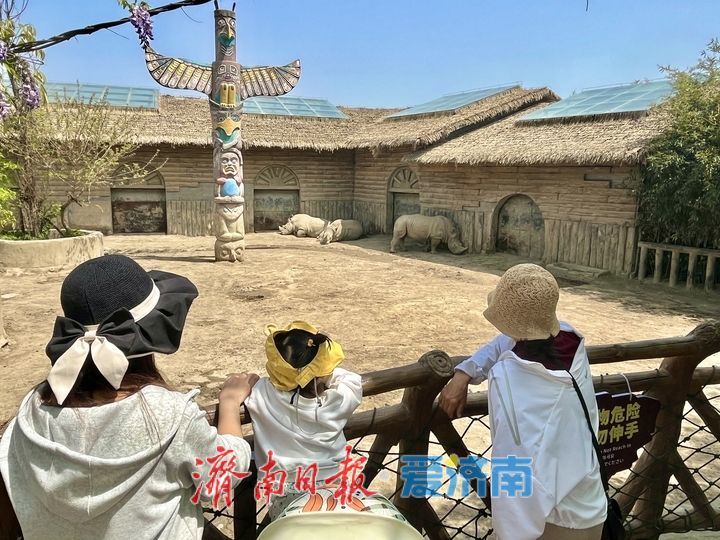 一年四季 泉在济南｜济南野生动物世界人气爆棚