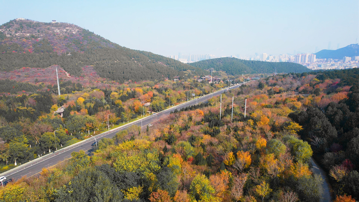 初冬的佛慧山层林尽染美不胜收