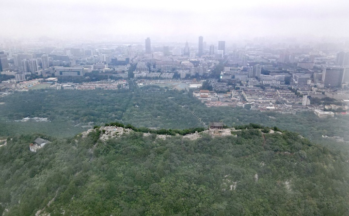 秋雾漫漫似丹青