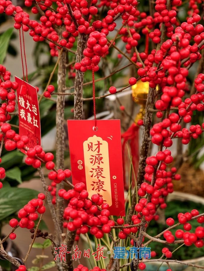 年宵花迎来销售旺季