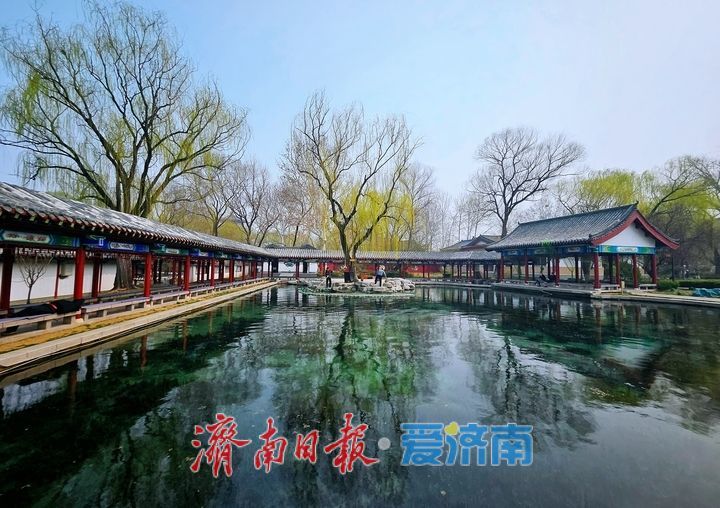 泉涌新绿满园春 百脉泉公园绘就春日盛景
